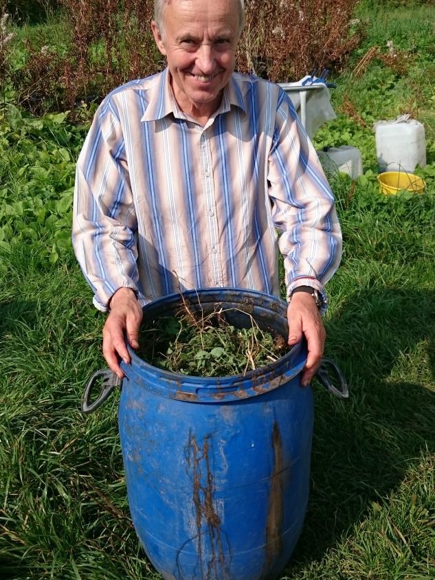 De har sedan dess odlat tomaterna direkt i samma jord. Varje vår gör Ingvar en grundgödsling med hästgödsel med halm och kutterspån.