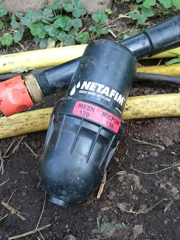 Tomatplantorna ser ut att trivas bättre för varje år, menar Ingvar. Ingvar tillför den mesta näringen i form av fast gödsel, med mycket organiskt material.