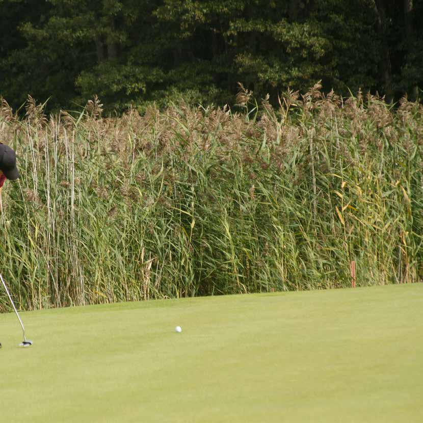 Tävlingskalender 2017 Datum Tävling Spelform Övrigt 23 april Städgolf Slaggolf Medlemmar 7 maj Wilson Staff Poängen Poängbogey ÖLGF T-singel 21 maj Callaway Paret Irish Greensome Slaggolf ÖLGF T-par