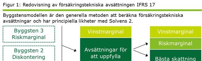 behöver analyseras och hanteras, t ex definieras försäkringsintäkter i standarden utifrån försäkringsavtalens täckning snarare än mottagna premier.