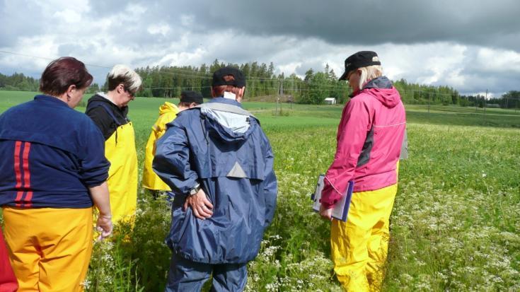 Kartläggning av växtskadegörare på kumminfält Målsättning: att klargöra orsakerna till skördevariationerna