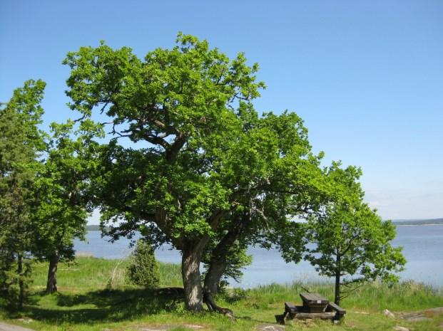 Juni Övrig verksamhet Lördag 3/6 Dans i Arvika 19.00-23.