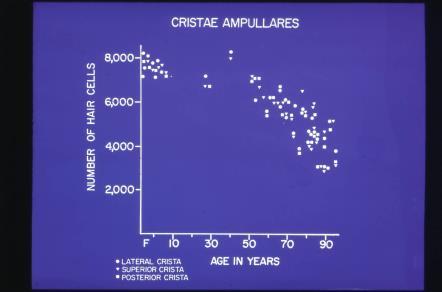 Rosenhall et al 1995 limbiska systemet -rädsla, ångest vestibularisorganen hjärnan -orientering -vad är upp/ned? -hur rör jag mig?