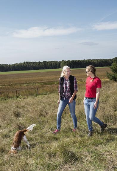 En trygg placering med liten risk Med en kapitalskyddad placering är risken generellt låg eftersom det nominella beloppet är kapitalskyddat.