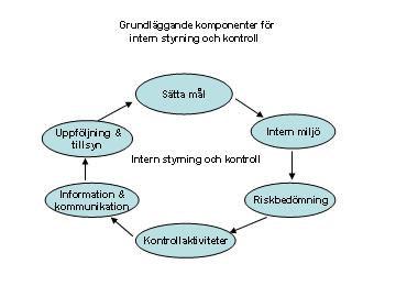 Genom att använda modellens komponenter som bedömningskriterier har vi utvärderat den interna styrningen och kontrollen i verksamheten.