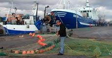 Fakta fisket i Skåne 238 yrkesfiskare 202 fiskebåtar (<12 m) 22 fiskeskepp (>12 m) Fångster 2002 Torsk 3 636 ton Sill 8 964 ton Skarpsill 2 569 ton Lax 20 ton Ål 115 ton Rödspotta 60 ton Skrubbskädda