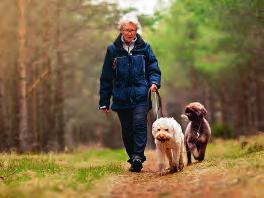 PENSIONÄRER folkpension. Minröjare har rätt till ett tillägg som är lika stort som fronttillägget, men de får inte extra fronttillägg.