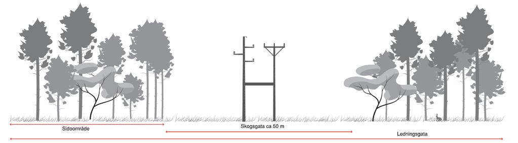 Figur 4. Illustration av principiellt utförande av ledningsgata för en 50 kv luftledning. Figur 5.