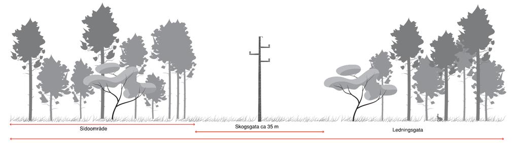 Vid byggnation av en luftledning utförs inmätning, stämpling och värdering av intrånget vartefter eventuella större träd och buskar i skogsgatan avverkas.
