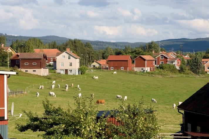 Stort fokus har legat på att samarbete med andra förvaltningar och hitta effektiva sätt att bedriva verksamhet.