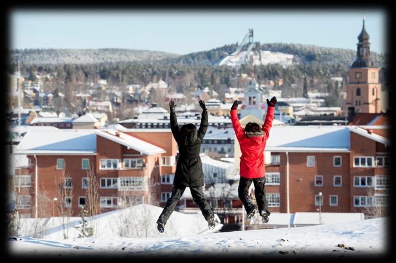 Framtida utmaningar Kommunens vision, Ett större Falun innebär en fortsatt satsning för att fler ska upptäcka Falun som möjlig bostads- eller etableringsort.