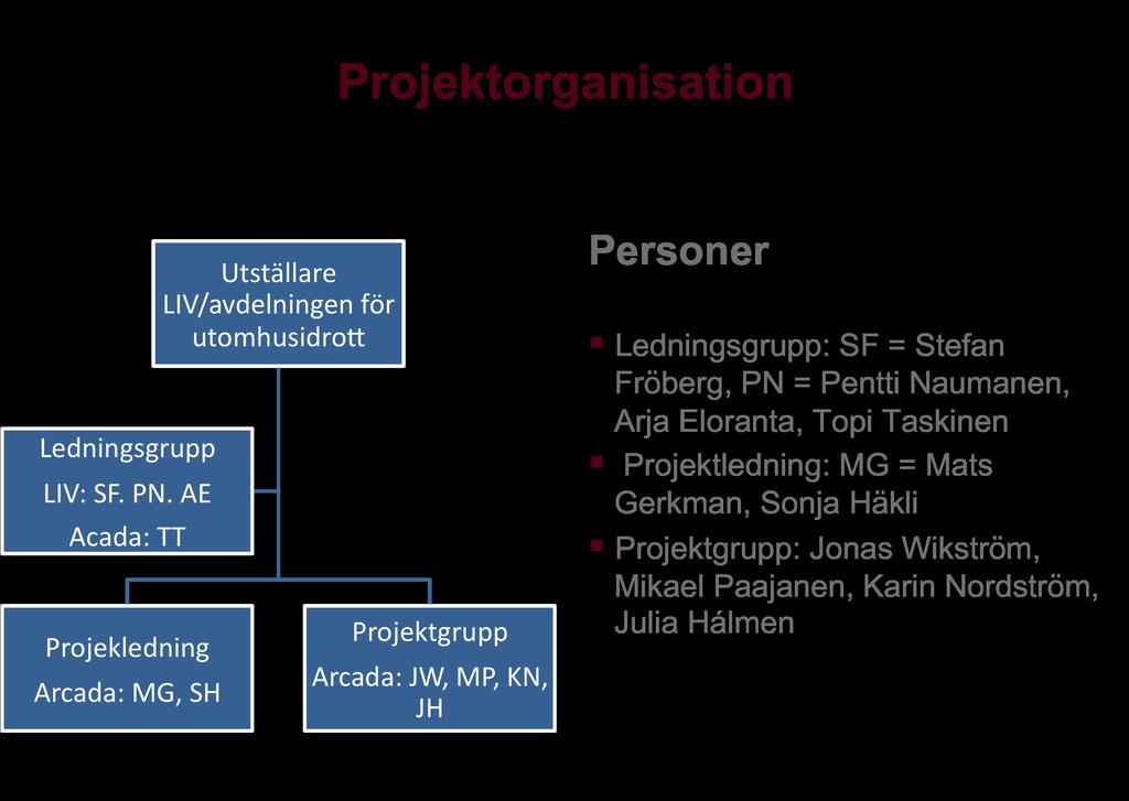 Figur 1. Grafik over projektorganisationens uppbyggnad. 2.1.3 Tidtabell I tabellen nedan finns tidtabellen över när intervjuerna gjordes på vilka ställen och av vem. Datum Idrottsplats Vem Tid 23.1.2010 Gamlas naturisbana Gerkman, Häkli Kl.