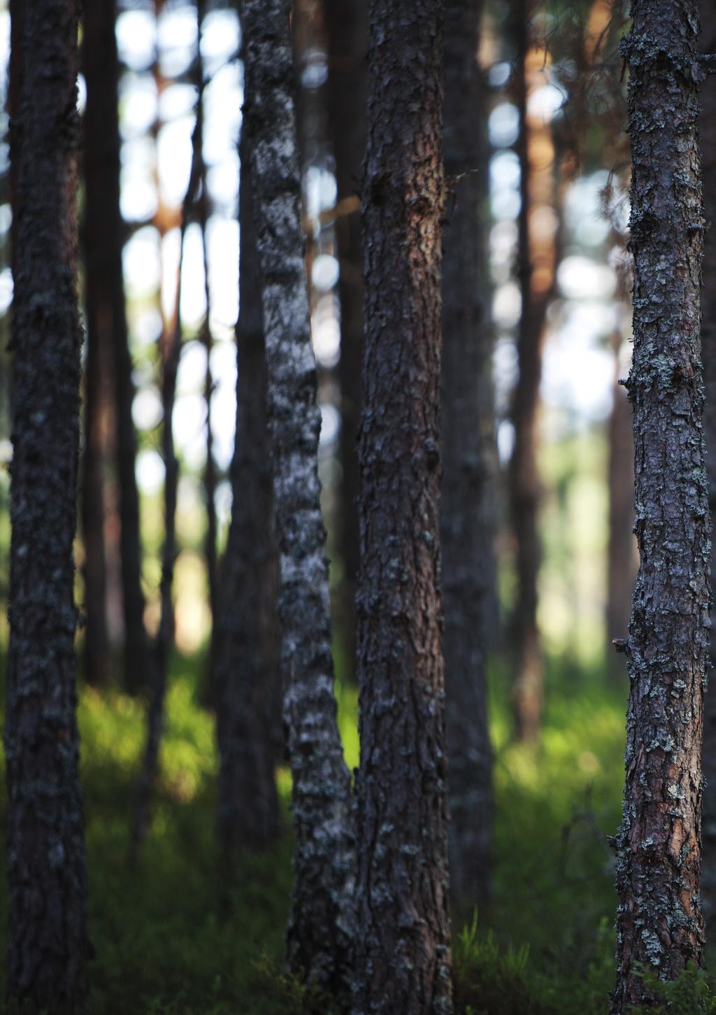 VI VÄXER TILLSAMMANS GISLAVED - ANDERSTORP - SMÅLANDSSTENAR - HESTRA