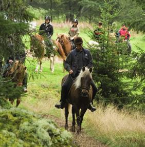 TURISM I VÅRT OMRÅDE - Besöksmål och besökare Gislaved kommun är ett populärt turismområde under hela året, Isaberg fungerar som dragare både under sommar- och vinterhalvåret.