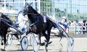 lå/vitt axelsk, ärmindel; vit Takter / - /, Eriksson hristoffer (Nilsson Lars I) Takter / - /, a ENST HUGO, K, AK,r. v. e Fill V - : --,a : --,a Tot: -- Ortaniq e To the Gate Andersson P U Hd / - /, Uppf: Travträn.
