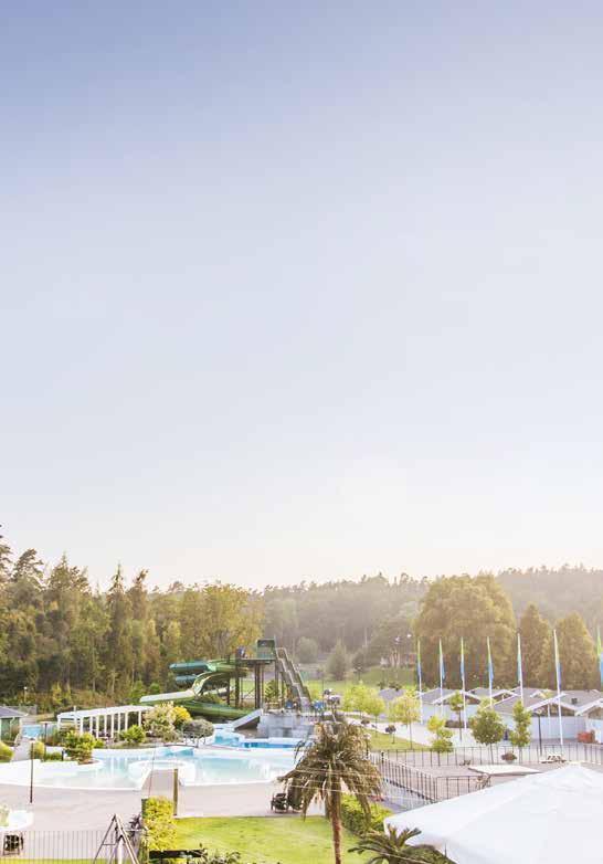 : Treåringslopp -åriga med kr. m. Voltstart. Pris:.-.-.-.-.-.- (.)-(.) kr. Hederspris till segrande hästs ägare.