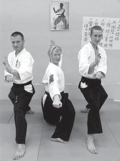 av stapeln i Växjö, 21-22/10, med Hannes Kannisto, 3 dan, som kursledare. Deltagarna, 15 st, kom från Sedokan Växjö IF och Tsunami dojo, Ed. Domarkommittén Thomas Olsson är ansvarig.