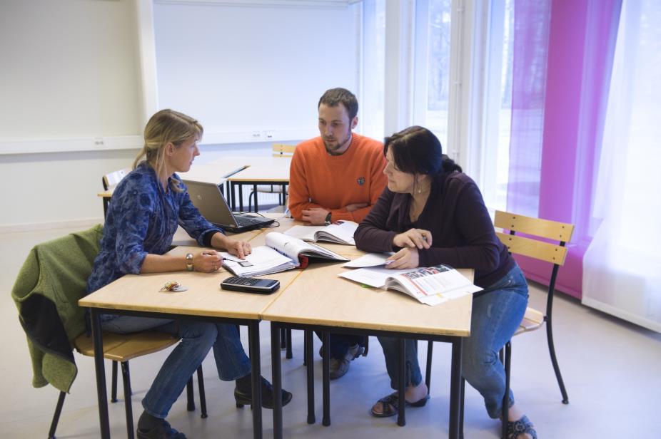 Kollegialt lärande Diskutera undervisningssituationer och didaktiska frågor Analysera