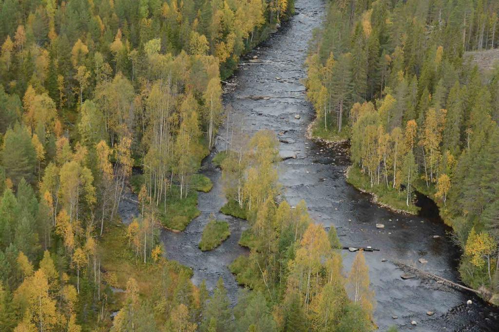 -Verksamhetsberättelse för - biologisk återställning, Sedan 14 sker finansieringen inom projektet Levande laxälvar som beviljats medel via Havsoch Vattenmyndighetens anslag 1:12.