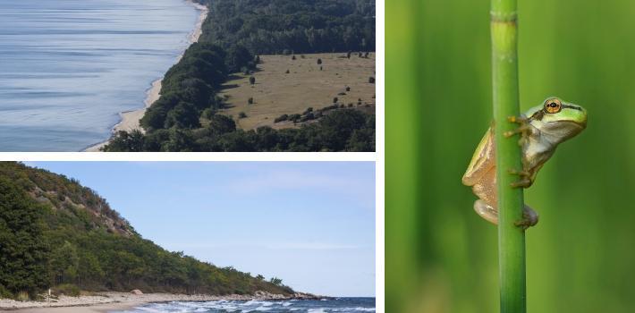 Den vackra borgen är spännande både för barn och vuxna. Stenshuvud (18 km) Naturreservatet Stenshuvud är en kulle, som sluttar ner i vattnet.