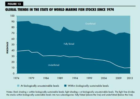 Enligt FN:s livsmedels- och jordbruksorganisation FAO är omkring 30% av världens fiskebestånd överfiskade och närmre 60% fullt utnyttjade.