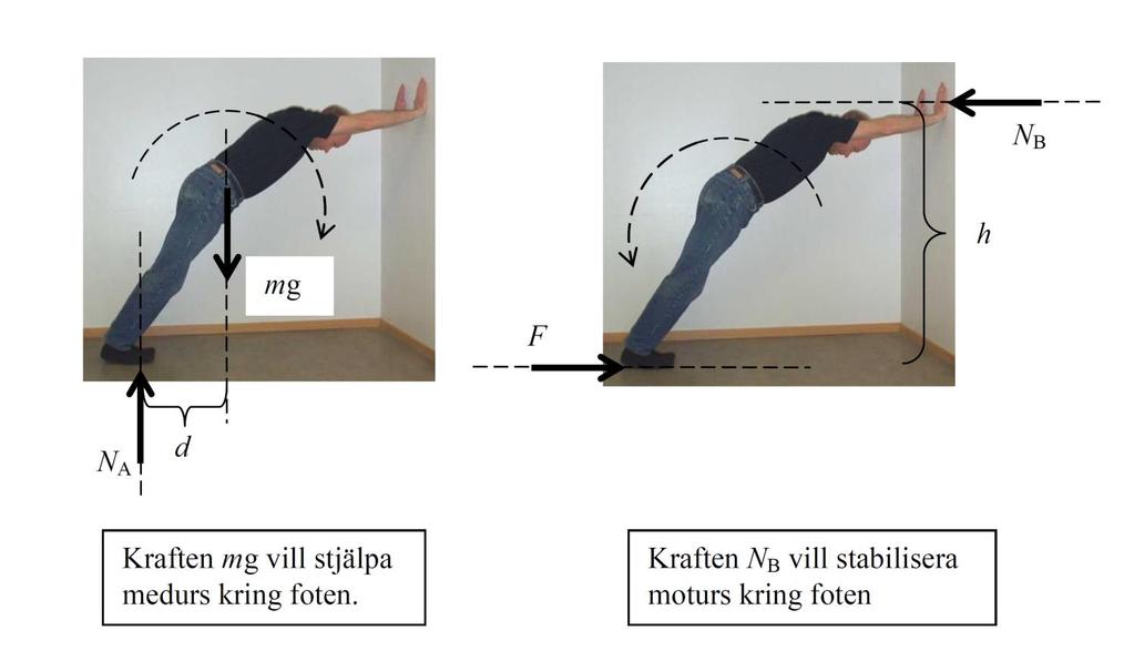 Stjälpande moment (medurs) = mg d