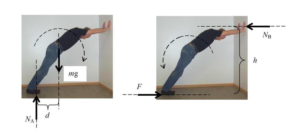 Friläggning Kraft och momentjämvikt F x = 0 F N B = 0 F y = 0 N A mg = 0 mg d N B h =