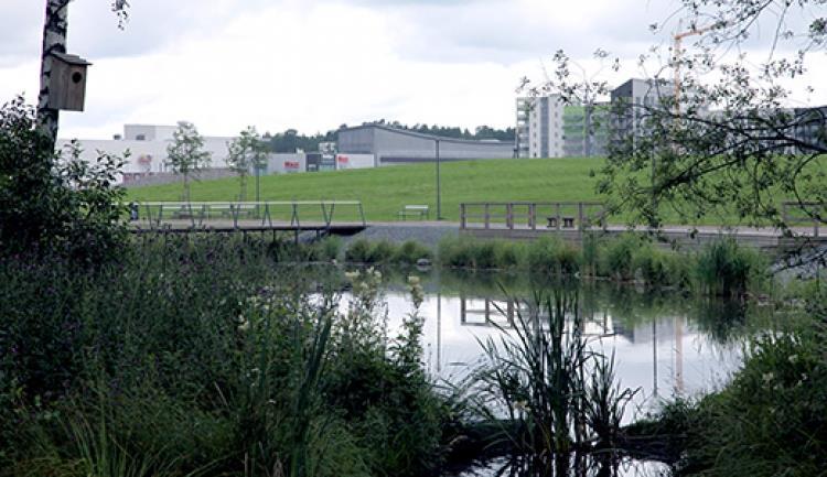 FÖREKOMST AV PFAS PÅ BARKARBYFÄLTET En eller flera källor, diffus spridning Grundvatten & jord, brandövningsplatsen Dränvatten, bergrum