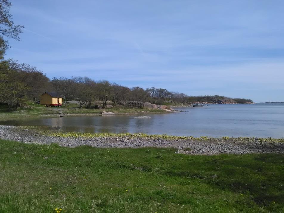 Återuppbyggnad av Larpes ladan Övriga byggnader Som nämnts tidigare så har även vissa andra byggnader besökts som inte ingår i naturreservat. Besökt Enskär under tidig vår för att stänga av värmen.