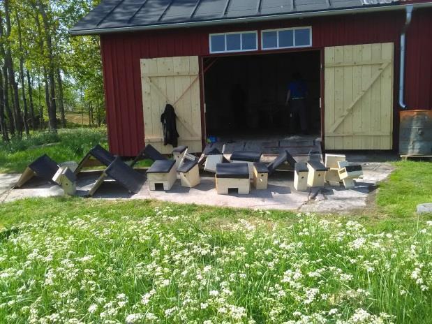Fastighetsverket hade stormöte på Björkör i slutet av maj med uppvaktningar med mera. Holkspikartalka och målning på ladugården. Ca 40 personer transporterades från Herröskatan.