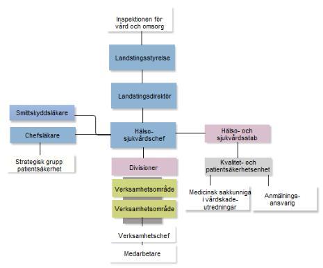 4. Organisering av patientsäkerhetsarbetet Bedömning Landstinget har etablerat en struktur med kompetens och relevanta roller på olika nivåer i organisationen som är relevant och som kan skapa goda