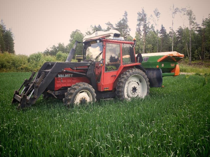 11 Båda försöksled gödslades med totalt 130 kg kväve/ha.