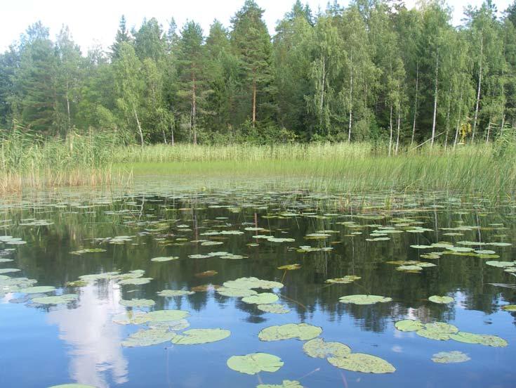 Exarbysjön Exarbysjön är en vackert belägen mesotrof skogssjö med måttligt siktdjup.