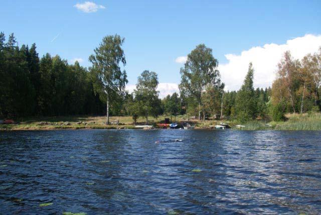 Stora harsjön Stora harsjön är en relativt opåverkad skogssjö med klart vatten som har en artrik och värdefull vattenväxtflora.