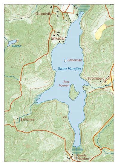 Både skörsträfse och glans-/mattslinke påträffades i fyra av åtta transekter. Fynddjupet var för skörsträfse 1-3 meter och för glans-/mattslinke 1,5-4 meter.