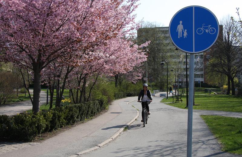 CYKELTRAFIK TRAFIKSLAG Nuläge Inom tätorten finns ett väl utbyggt och väl separerat cykelnät.