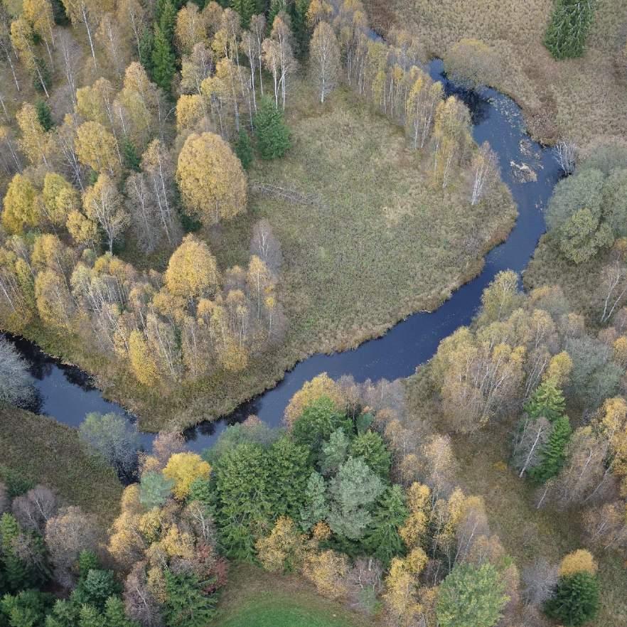 Söder om Ljungby bedöms en sträckning påverka tillgängligheten i öst-västlig riktning vilket kan medföra en förskjutning av den sociala strukturen mot antingen Strömsnäsbruk och Markaryd eller mot