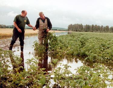 Några arbetsområden