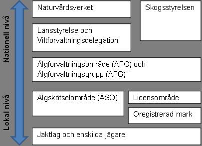 NATURVÅRDSVERKET 7(21) Figur 1. Visar översiktligt de huvudsakliga aktörerna inom älgförvaltningen. Enliknande figur återfinns i Bjärstig et al (2014).