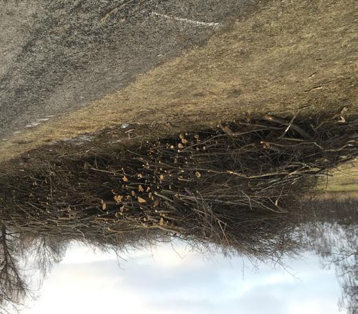 Detta har efterfrågats länge av Breviksborna och framförts till staden av villaägareföreningen. Foton: Johan Ahlbom Slänten vid Högudden.