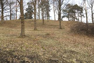 Vi har också fått uppgift om att den belysning av strandpromenaden, från Villa Högudden till Scouthuset, som vi blivit lovade sedan något