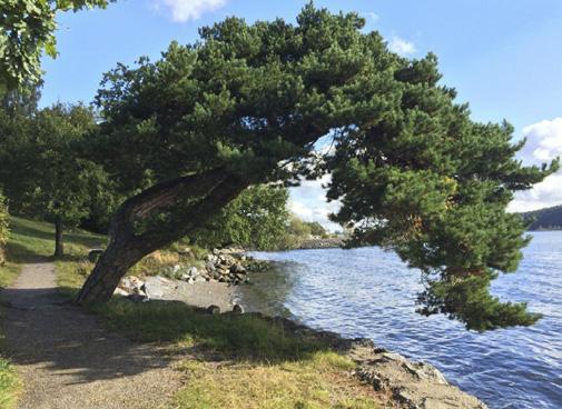 År 1895, då den imponerande Höguddsvillan byggdes alldeles i närheten, anlade man i tidens anda både ångbåtsbrygga, badhus och långa strandpromenader med stenkajer.