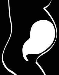 Förlossningsförloppet Det är viktigt med kunskap och förståelse kring förlossningsförloppet och vad som händer i kvinnans kropp under förlossningen för att man ska kunna använda och förstå varför man