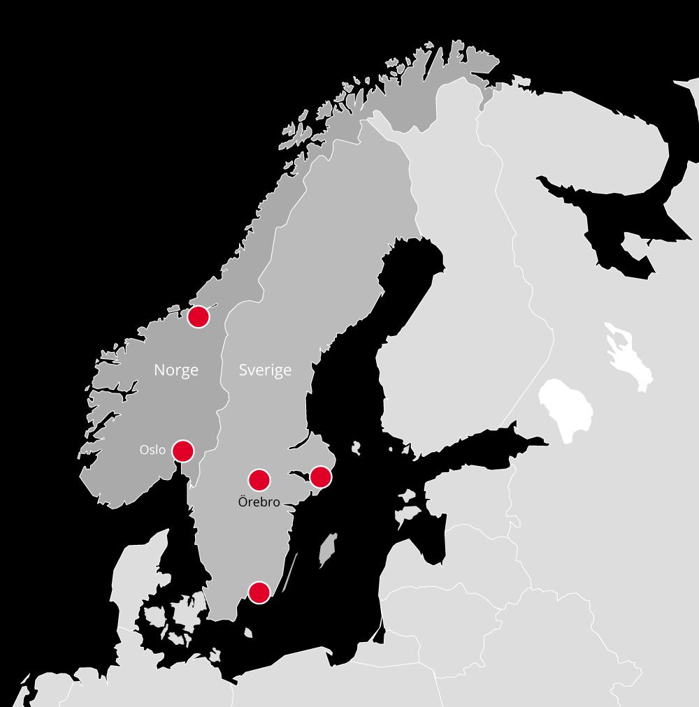 SEGMENTSÖVERSIKT Dedicares rörelsesegment rapporteras på det vis som bäst överensstämmer med den interna rapportering som rapporteras och följs upp av koncernens verkställande direktör.