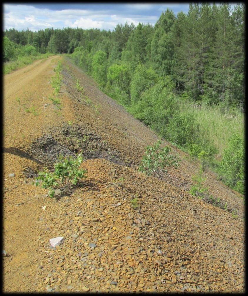 Exempel på förvaringsfall från praxis Förorenad saltsyra Olja i urinbrunn