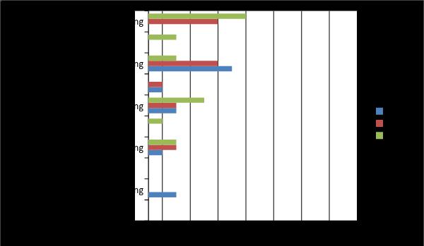 Figur 5. De använda graderna av klassificeringarna. Analys av beskrivningen av funktionsförmågan är del två av checklistan.