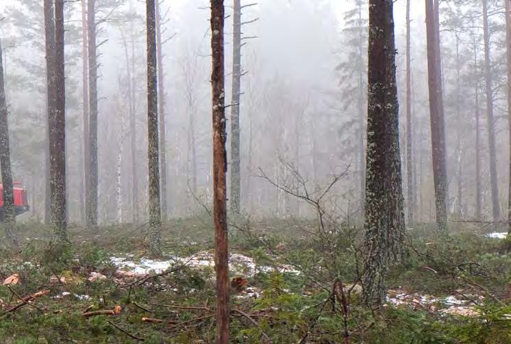 Produktionsnorm för grotskotare grotkvaliteten än på skotningsarbetet.