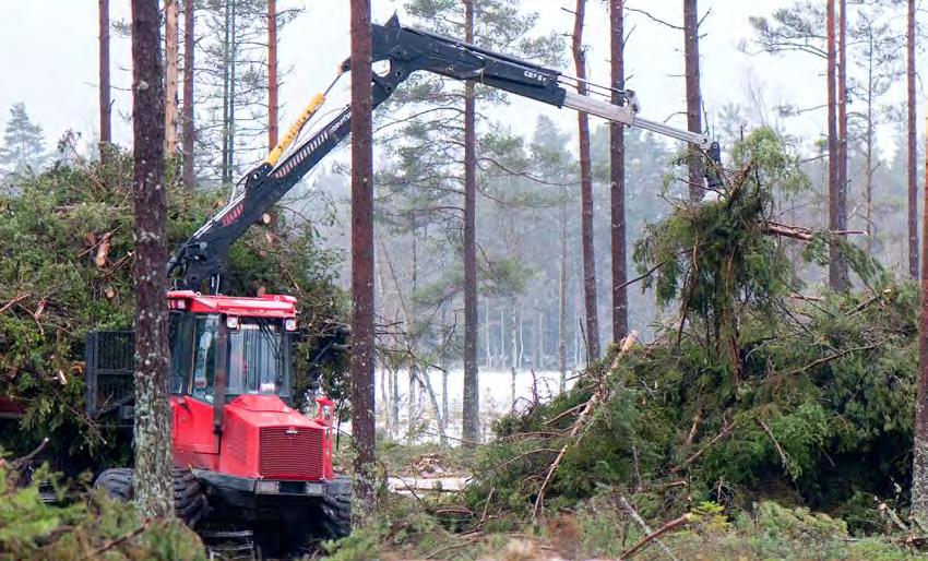 Produktionsnorm för grotskotare timme. Önskemålet om att kunna sätta bort arbetet har genererat behov av en bortsättningsmall. Beskrivningen av tidsåtgången kan göras enligt många olika modeller.