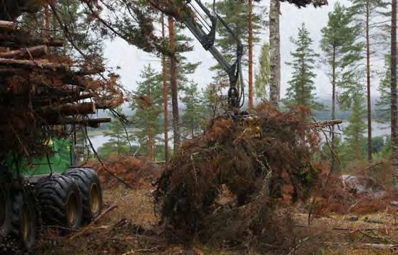 Produktionsnorm för grotskotare Tillämpning av beräknad tidsåtgång För att erhålla total tidsåtgången för skotningsarbetet skall deltiderna enligt den tidigare beskrivningen läggas ihop.