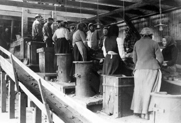 STRIPA BYGGDE SVERIGE Gruvarbetare i Stripa på 1950-talet. De tryckluftsdrivna långhålsborrarna var för sin tid mycket effektiva.